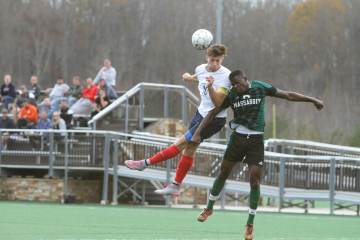 樊振东输球了 一单崩盘惹人疑 欧洲新锐真能掀翻老将？（配图示意）